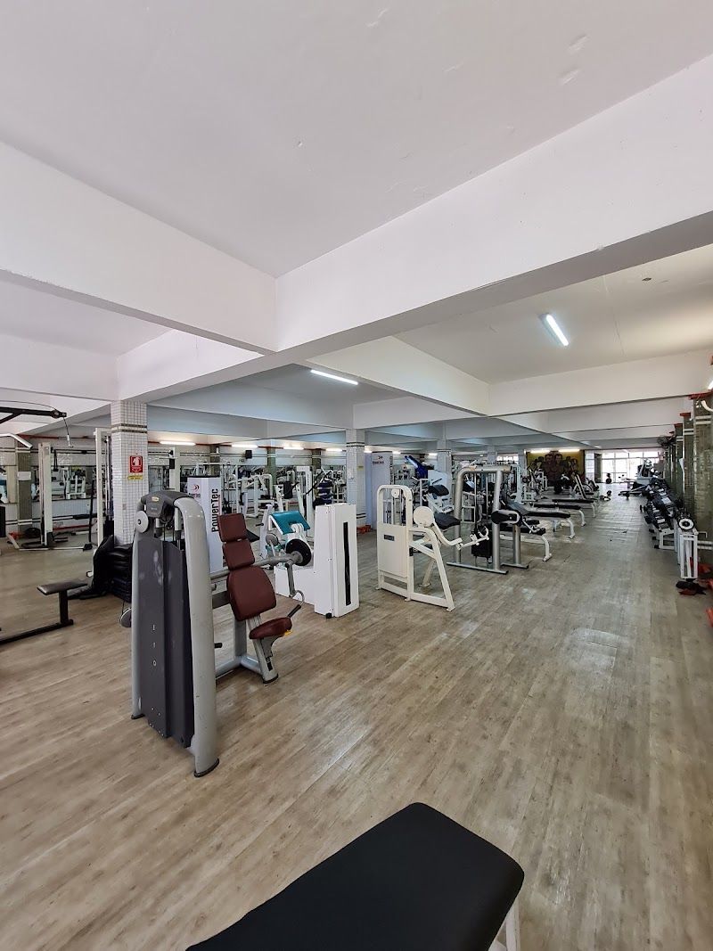Academia Muscle Training - ME