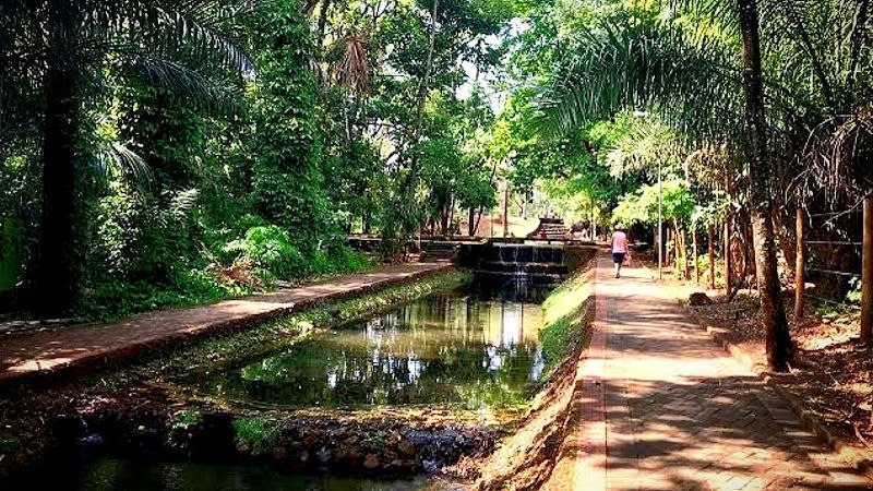 Bosque dos Buritis