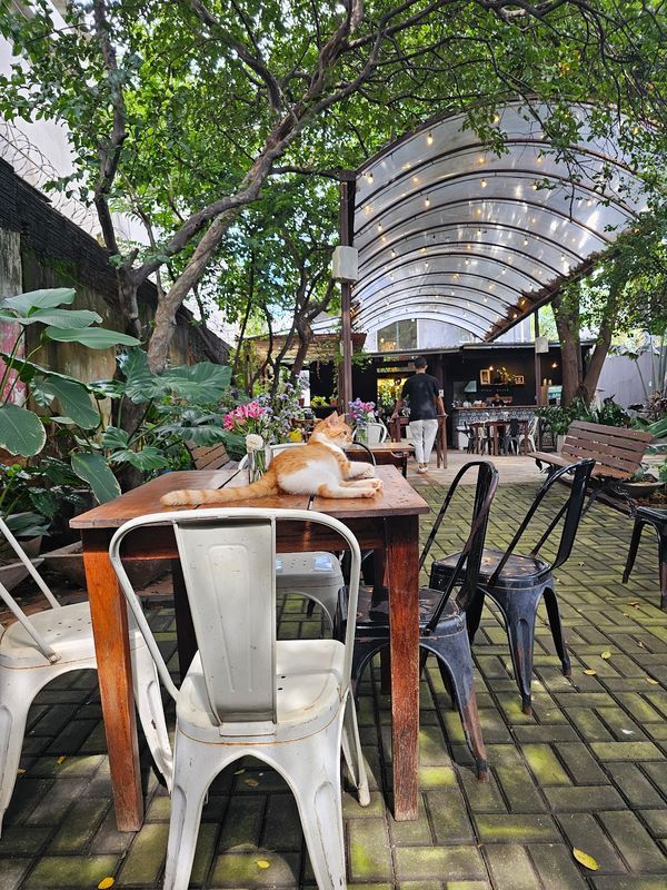 Evoé Café com Livros