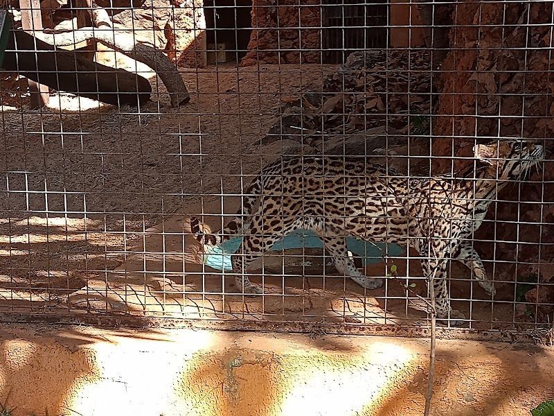 Museu de Zoologia