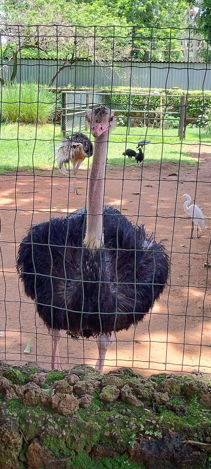Museu de Zoologia