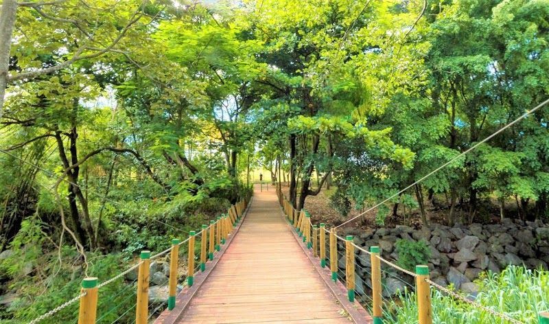 Parque Bernardo Élis