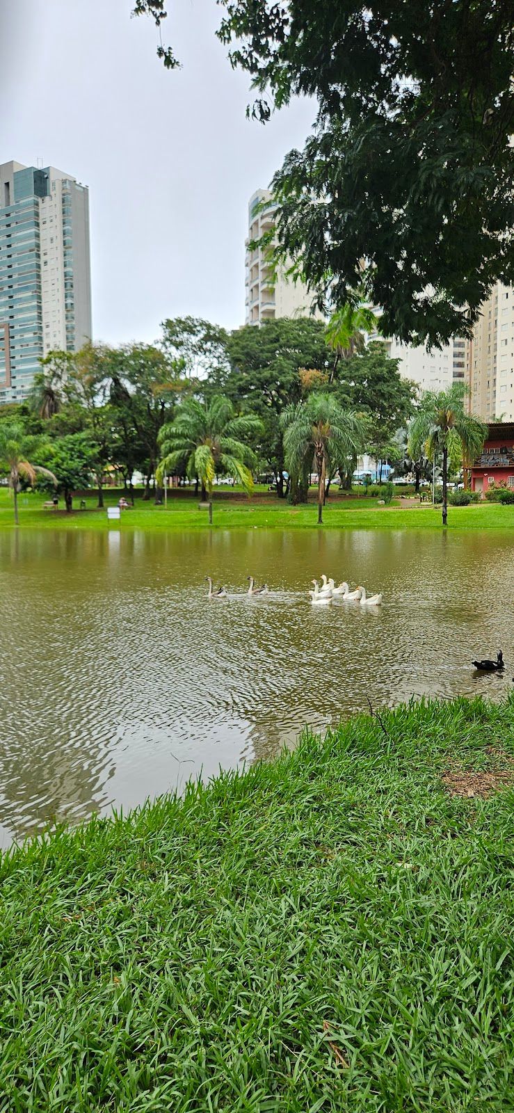 Parque Flamboyant