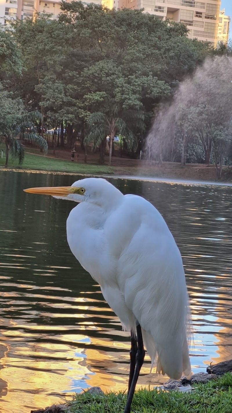 Parque Flamboyant
