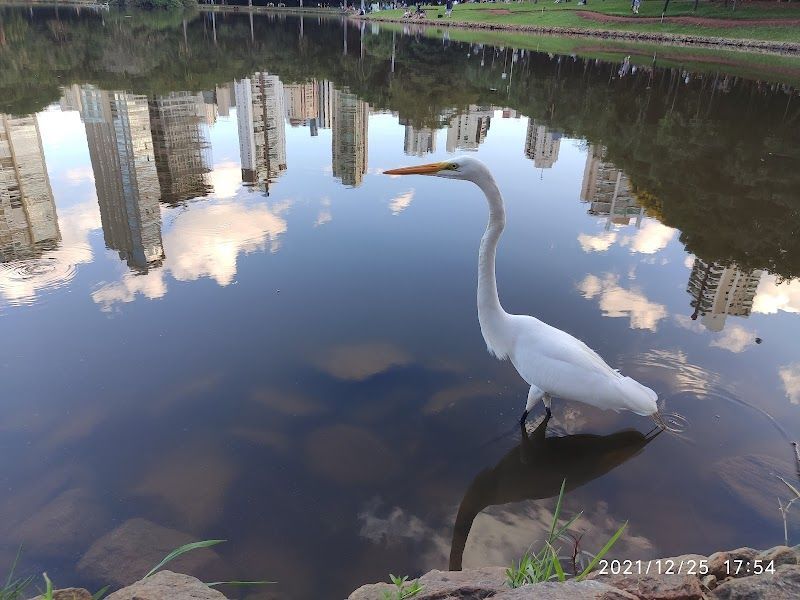 Parque Vaca Brava