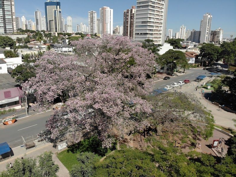 Praça do Sol