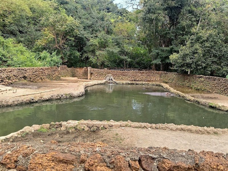 Quiosque do Lago das Rosas